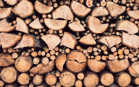 Logging MCP Protocol Part I